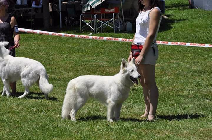 Lovely white pearl de la foret d'Arcanin