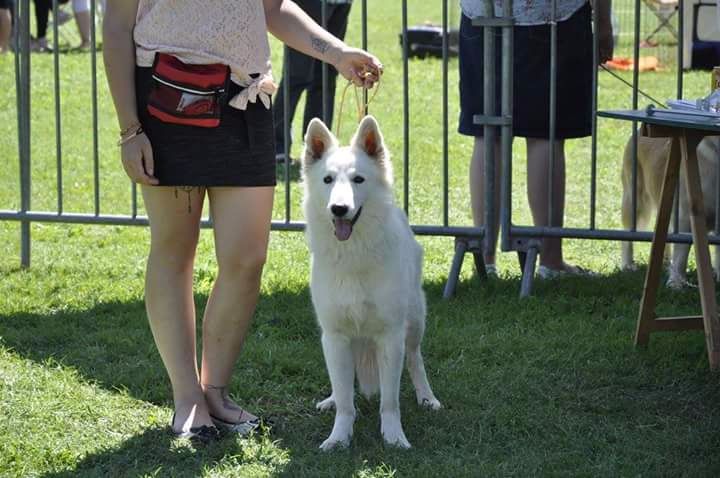 Lovely white pearl de la foret d'Arcanin